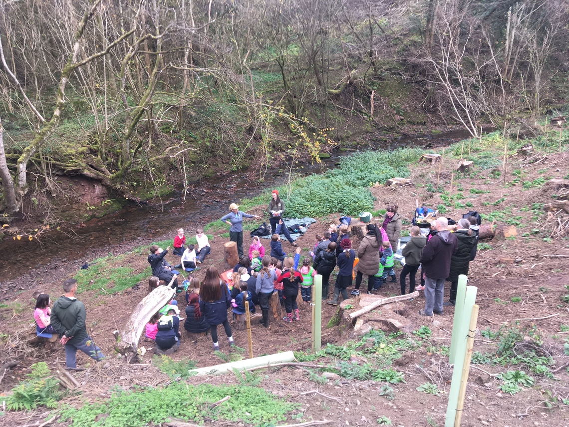 Primary School kids planting